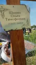 Захоронение ID 6392731