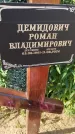 Захоронение ID 6392788