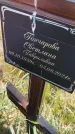 Захоронение ID 6392846
