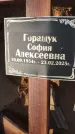 Захоронение ID 6392886