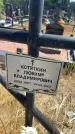 Захоронение ID 6392979
