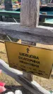 Захоронение ID 6393002