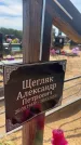 Захоронение ID 6393060