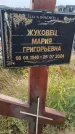 Захоронение ID 6393244