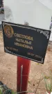 Захоронение ID 6393272