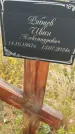 Захоронение ID 6393280