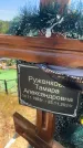 Захоронение ID 6393303
