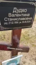 Захоронение ID 6393334