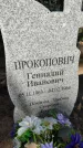 Захоронение ID 6393390