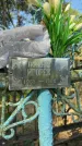 Захоронение ID 6393508