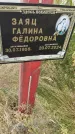 Захоронение ID 6393546