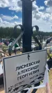 Захоронение ID 6393626