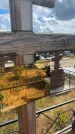 Захоронение ID 6393672