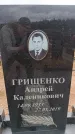 Захоронение ID 6393705