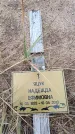 Захоронение ID 6393772