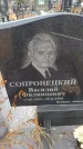 Захоронение ID 6393842
