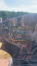 Захоронение ID 6394034