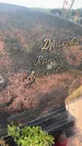 Захоронение ID 6394035