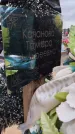 Захоронение ID 6394064