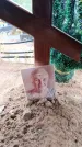 Захоронение ID 6394079