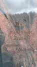 Захоронение ID 6394198