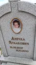 Захоронение ID 6394346