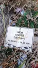 Захоронение ID 6394386