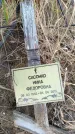 Захоронение ID 6394735