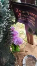 Захоронение ID 6394801