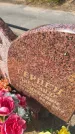 Захоронение ID 6394998