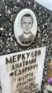 Захоронение ID 6395143