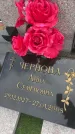 Захоронение ID 6395195