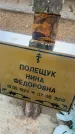Захоронение ID 6395200