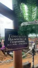 Захоронение ID 6395239