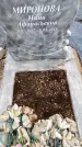 Захоронение ID 6395256
