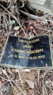 Захоронение ID 6395298
