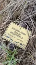Захоронение ID 6395313