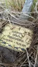 Захоронение ID 6395315