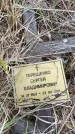 Захоронение ID 6395390