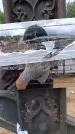 Захоронение ID 6395716