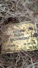 Захоронение ID 6395721