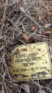 Захоронение ID 6395722
