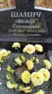 Захоронение ID 6395774