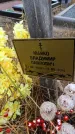 Захоронение ID 6395838