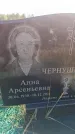 Захоронение ID 6395969