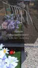 Захоронение ID 6396101
