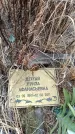 Захоронение ID 6396162