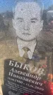 Захоронение ID 6396321