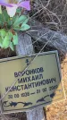 Захоронение ID 6396352