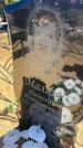 Захоронение ID 6396384